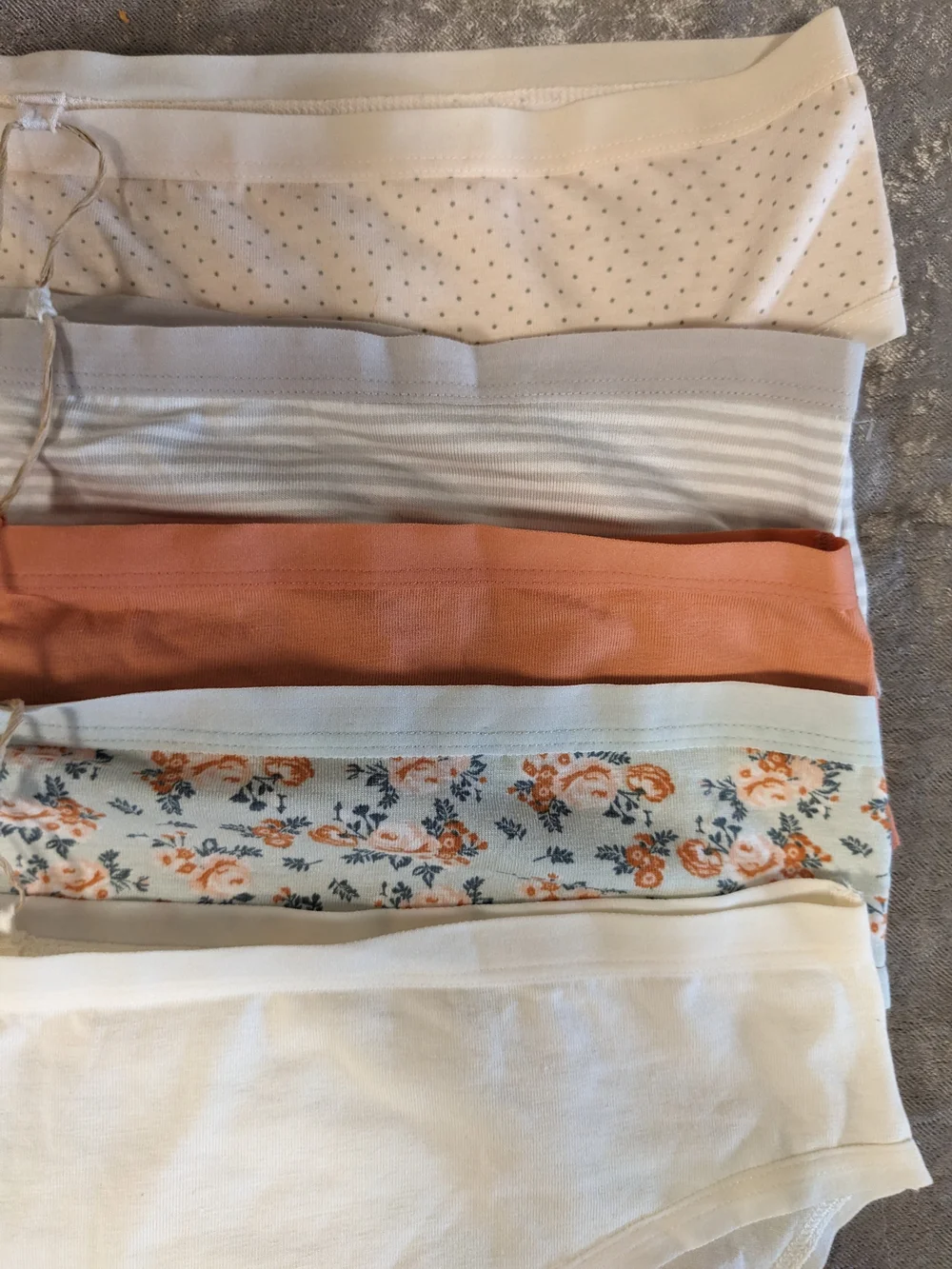 Serra Women's 5-Pack Tagless Brief Panties — Size XL
